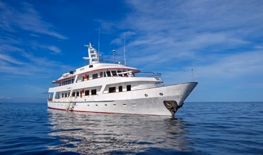 320heightpassion yacht 8
