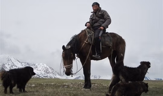centralasia81