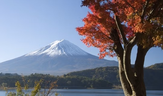 japan6