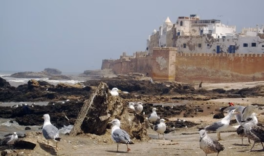 morocco25