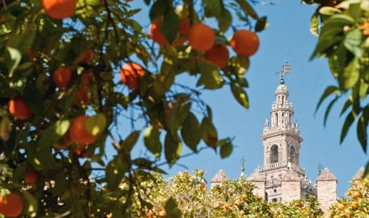 spain10