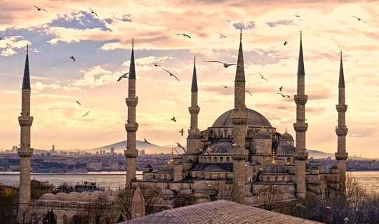 turkey4