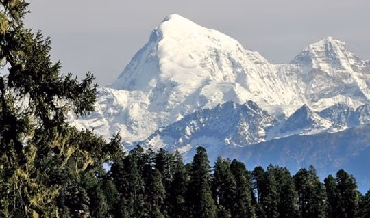 bhutanitin3