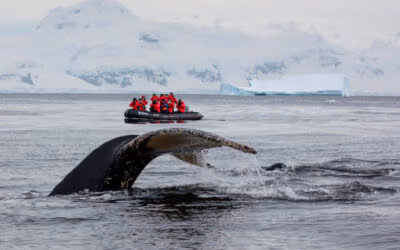 IT’S TIME TO EXPLORE ANTARCTICA