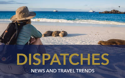SEPTEMBER 2023 DISPATCHES