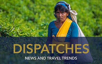 MARCH 2024 DISPATCHES