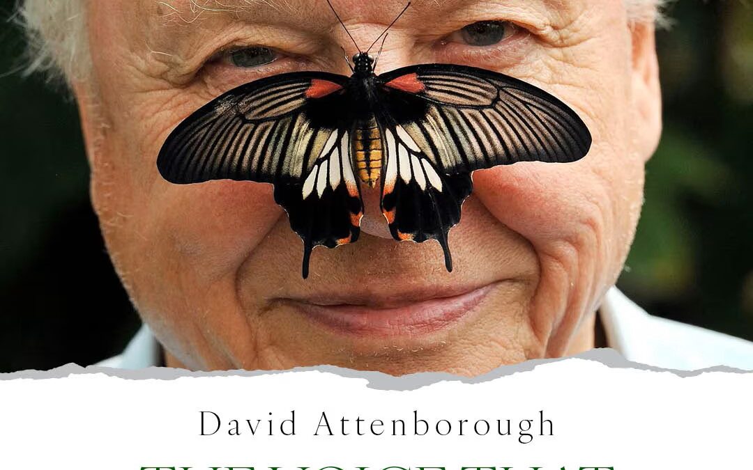 May 2026 Dispatches